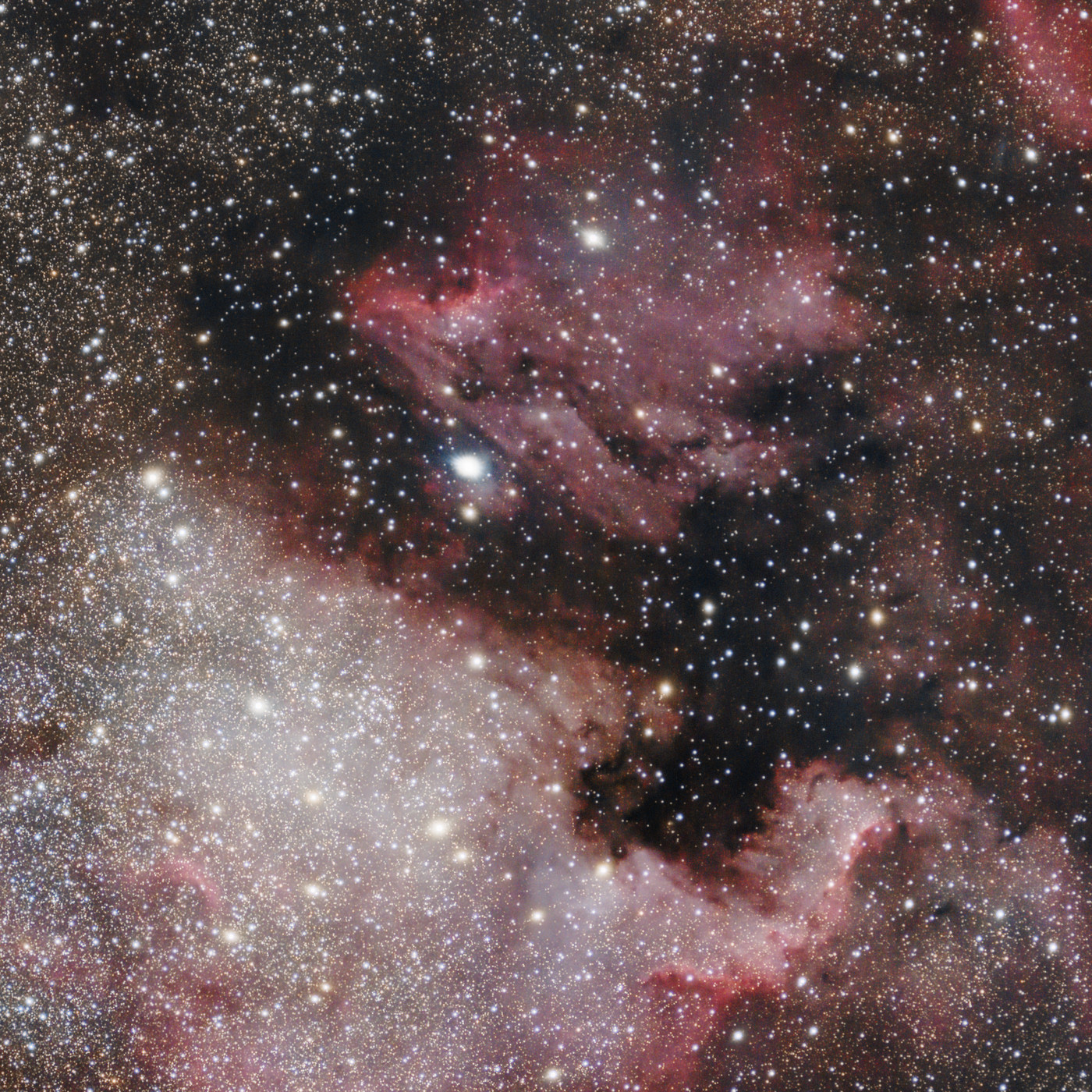 North America Nebula